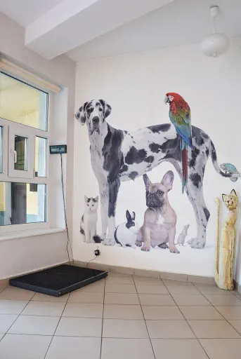 Przychodnia Weterynaryjna "4 Łapy"